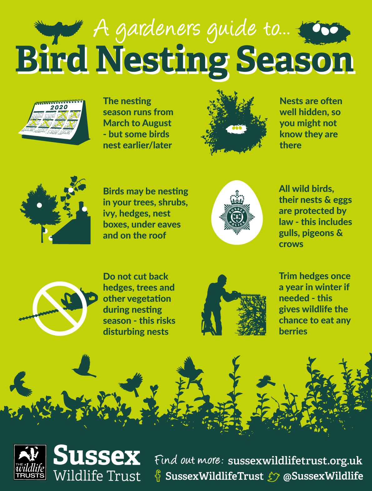 Bird Nesting Season Sussex Wildlife Trust