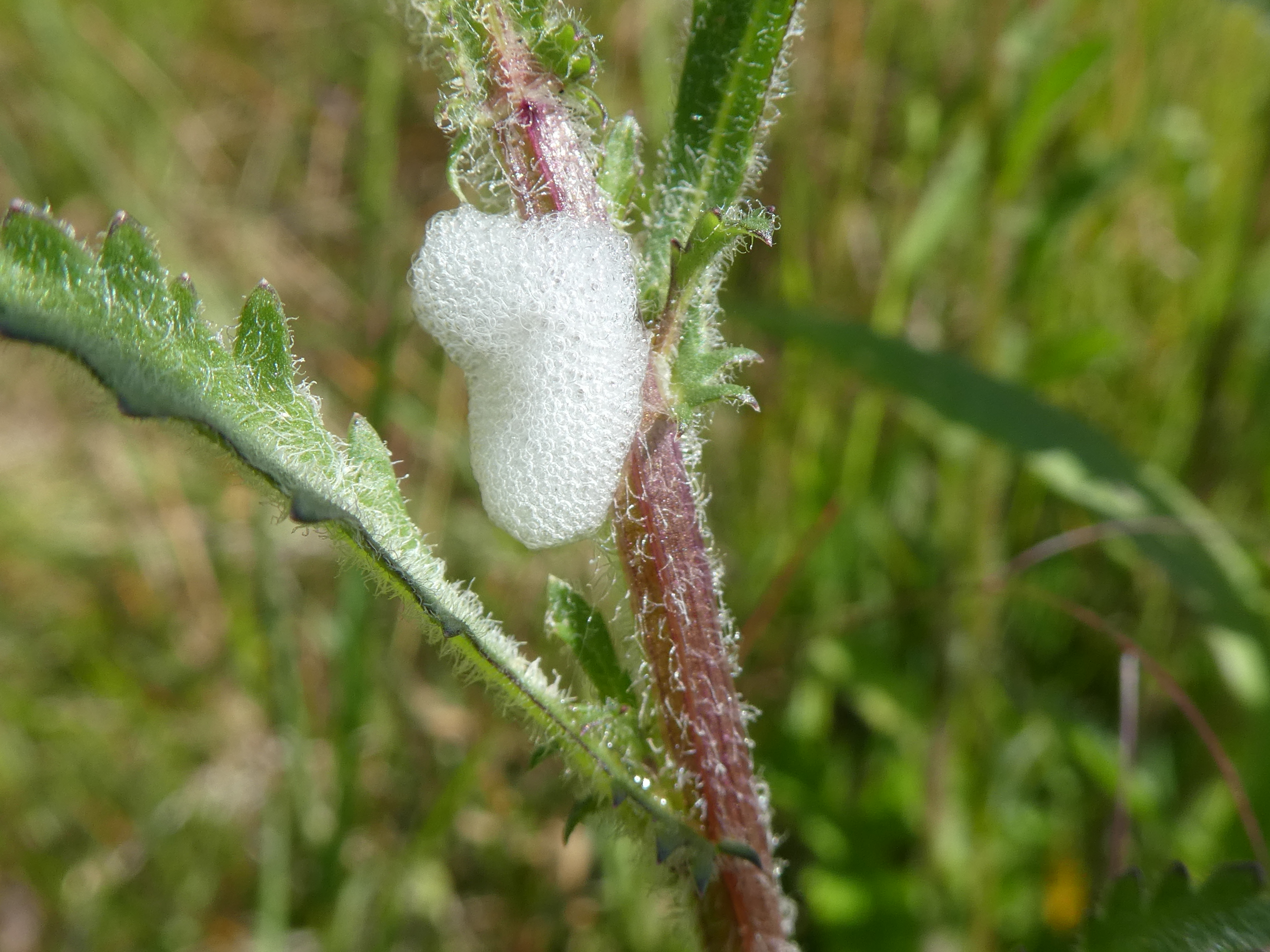 P1050021