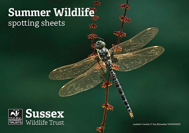 Sumo spottting sheets summer